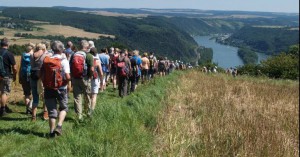 Rheintal-Panorama vom Edgar-Reitz-Blick