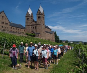 Wanderer im Weinberg des Herrn