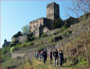 Mords-Wanderer auf dem Gutenfelssteig