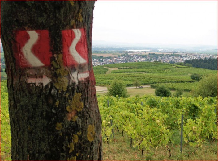 Blick von der Bubenhäuser Höhe