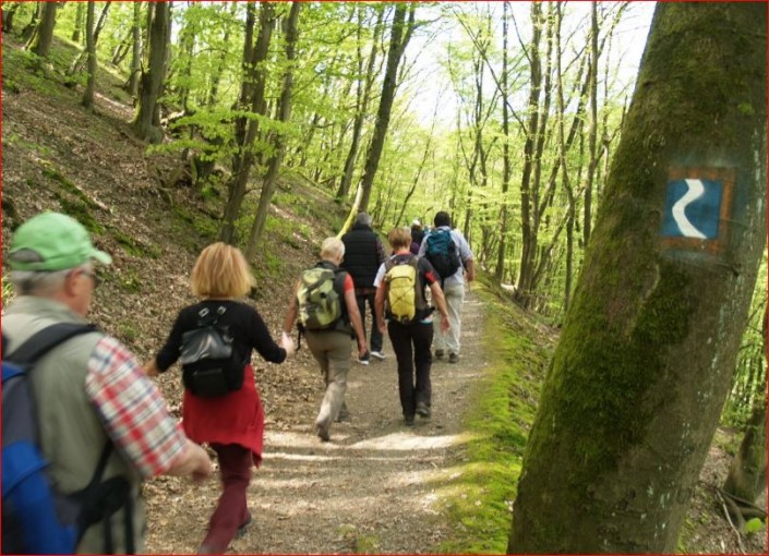 Unterwegs im Buchwaldgraben