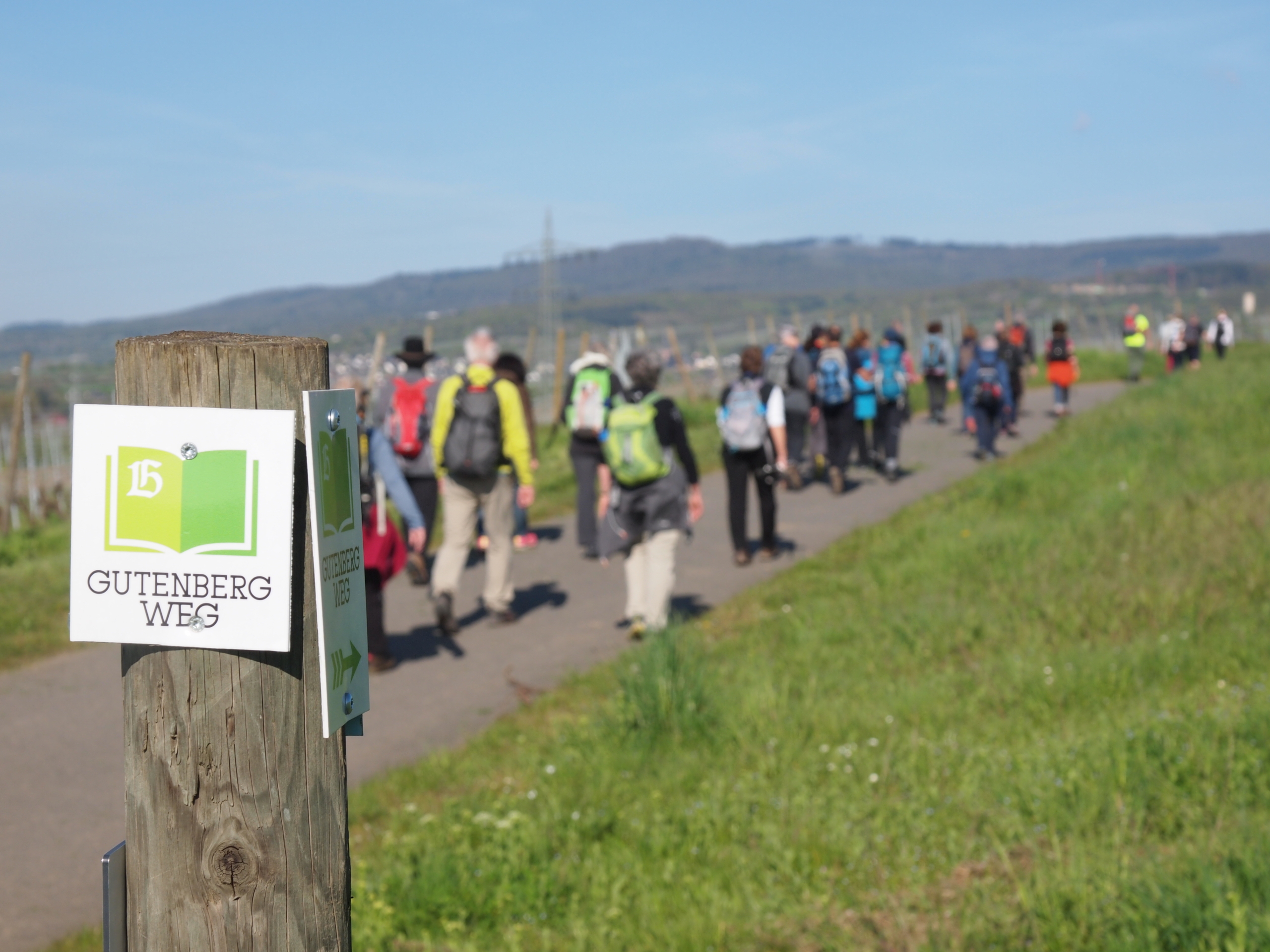 Gutenbergweg Eltville